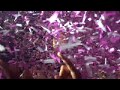 Imagine Dragons - Thunder Prague 2018