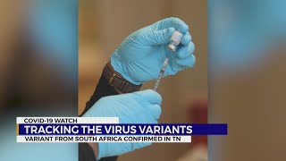 Tracking the virus variants