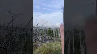 Waldbrand im Harz auf dem Broken