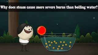 Why does steam cause more severe burns than boiling water? | #aumsum #kids #science