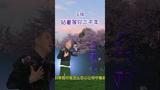 王琪演唱《站着等你三千年》句句催泪听的是撕心裂肺痛彻心扉！