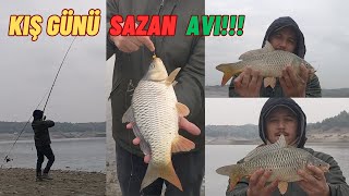 Kış Günü SAZAN AVI#fishing #carpfishing #sazan #winter