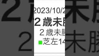 保存をオススメ！【競馬予想／次走本命にしたい馬】2023年10月28.29日新潟開催から次走本命にしたい馬を3頭ピックアップします#競馬 #競馬予想 #次走の本命馬 #WIN5