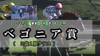 2022/11/27【パドック返し馬つき】東京８R　ベゴニア賞（２歳1勝クラス）　　☆シャンパンカラー　ドゥラメンテ　＃レースは9分ころから