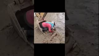 இரு உயிர் போராட்டம் #savedogs #saved #shorts #trending #viral #rain