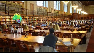 Library Ambience & Writing Sound | Sleep, Studying | Kütüphane Ambiyansı & Yazı Sesi