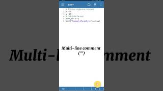 Create a program that applies python comments Level 1 (2)
