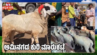 Amingada Sheep market update 26/01/2025