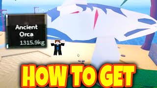 How To GET ANCIENT ORCA SHOWCASE In FISCH! Roblox