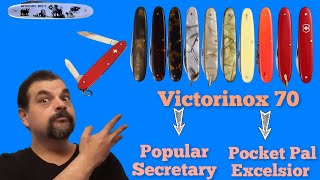 Victorinox Excelsior, Pocket Pal, Secretary and Popular: The descendants of the Victorinox 70