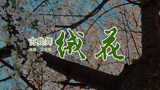 【舞蹈.古典舞】绒花-王秀蓓