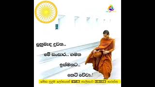 නිවන  තමයි අපි කාගෙත්  සැනසීම