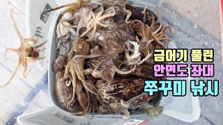 쭈꾸미 금어기 해제 첫주 - 안면도 좌대 워킹 쭈꾸미 낚시 vlog