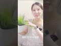 식물저승사자도 가능한 베란다꽃밭 조화 플랜테리어 🌷🌻🌹💐