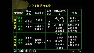 10902選修生物一ch1 2 10小分子的運輸統整一溫加快版