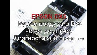 Диагностика и лечение проблем демпферов головы EPSON DX5