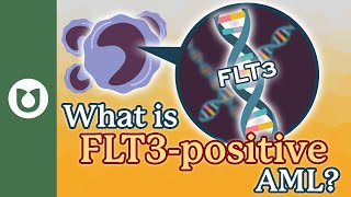 What is FLT3-positive AML? What is gilteritinib? #AML