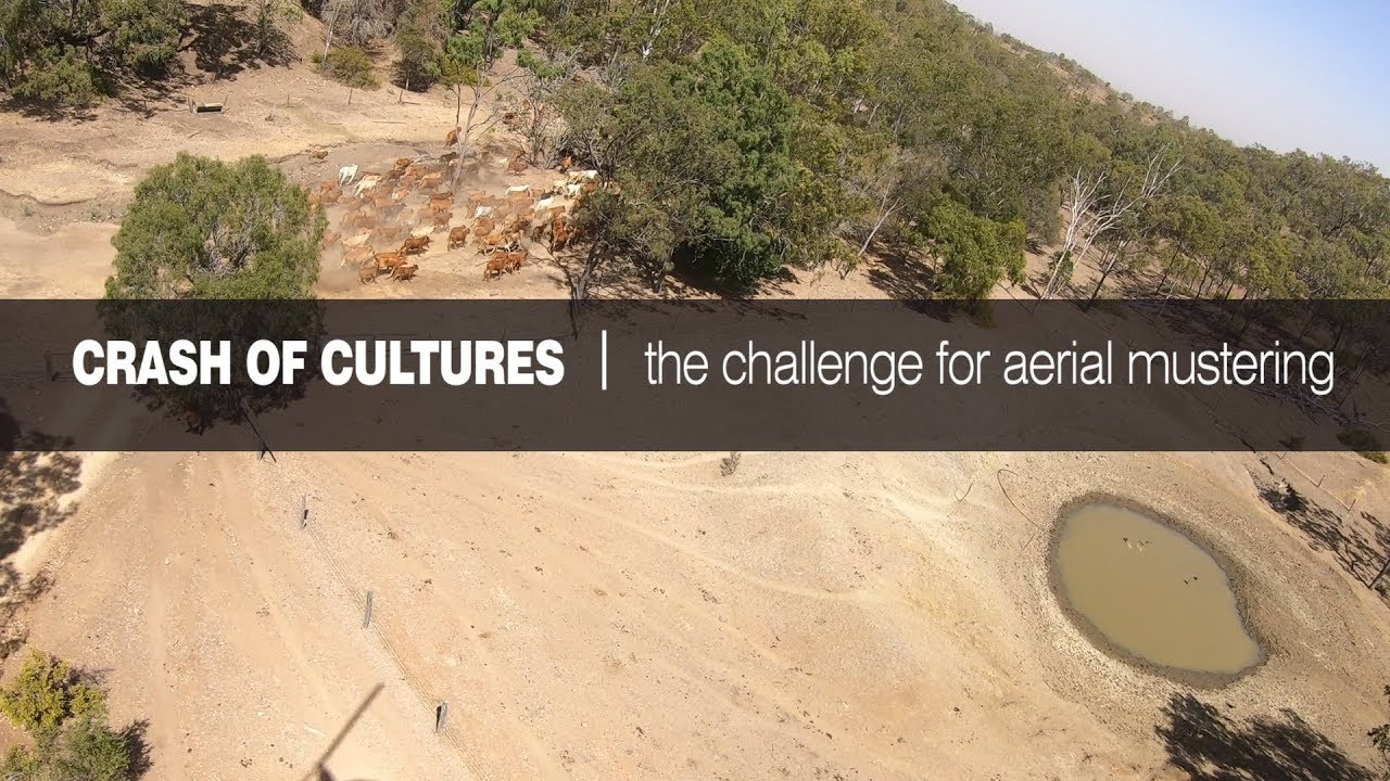 Flight Safety Australia -The Challenge For Aerial Mustering - YouTube