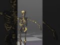 Awesome Skeleton tips revealed