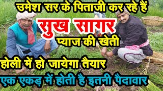 उमेश सर के पिताजी कर रहे हैं ठंढी में प्याज की खेती How To Do Onion Cultivation In Frosty #UmeshSir