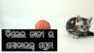 ବିଲେଇ ନାନୀ ର ମୋବାଇଲ୍ ପ୍ରେମ A kids story by Sandhyarani Prusty