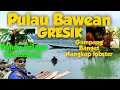 Pulau Bawean Ada Pohon Kelapa Bercabang | Menangkap Lobster di Pulau Bawean | Pulau BAWEAN GRESIK