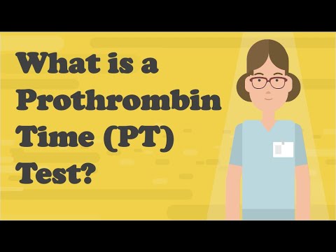 What is PT tested for?