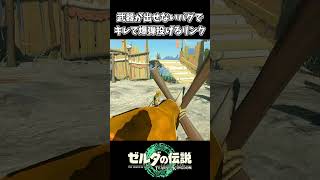 【ティアキン】武器が出せないバグでキレるリンク【ゼルダの伝説 ティアーズ オブ ザ キングダム】