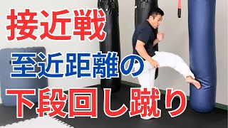 接近戦での下段回し蹴り｜ローキック