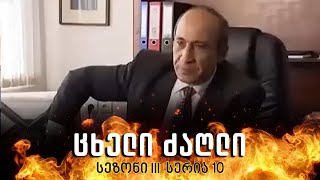 ცხელი ძაღლი | სეზონი 3 სერია 10