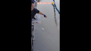 小河撈魚，玩的就是開心#赶河#赶海#shorts