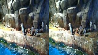 20220603 - Go Ocean Park, Test for Qoocam EGO (Part 10)