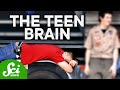 How Teenagers' Brains Are Actually Wired Differently
