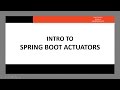 Intro to Spring Boot Actuators