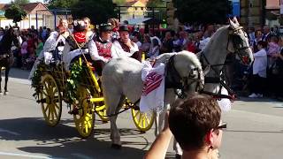 Vinkovacke Jeseni  - Svečani Mimohod