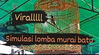 LOMBA  LATBER MURAI BATU