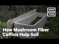 Mushroom Fiber Coffins Are an Eco-Friendly Alternative | NowThis Earth