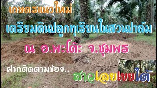 การเตรียมดินปลูกทุเรียนในสวนปาล์ม วิถีเกษตรแนวใหม่ #ปลูกทุเรียนในสวนปาล์ม  #วิถีเกษตรใหม่