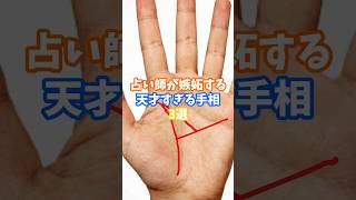 占い師が嫉妬する天才すぎる手相3選 #金運 #運 #大金 #開運 #幸運 #財運 #手相 #占い #shorts