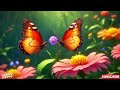 പൂമ്പാറ്റപ്പാട്ട് i butterfly song