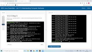 Lab 12 Linux Essentials