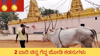 2 time gold medal winner cow pair || B Seehalli cattle fair 2022