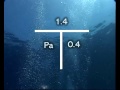 11_04 calculating partial pressure and maximum operative depth