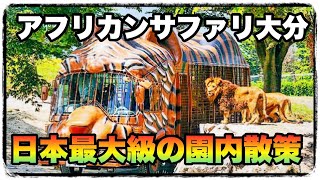 九州自然動物公園 アフリカンサファリに来ました !!