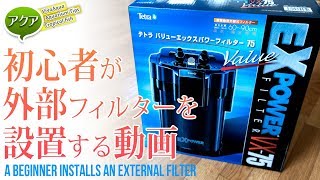 #アクアリウム 初心者が外部フィルターを設置する動画 Tetra VX-75 #チャーム 【ビバアクア】