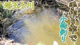 手作りタナゴ竿で冬のタナゴを釣りに行く！【埼玉小川】