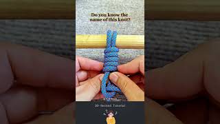 1459# The Amazing Knot Secrets that You Need to Know.