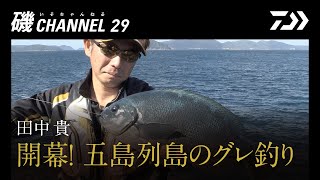 田中貴『開幕! 五島列島のグレ釣り』の巻｜第二十九回　磯ちゃんねる