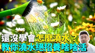 什麼時候澆水？怎麼給花澆水？教你3個養花絕招，十年花店老闆用了都說好|禪藝綠植工作室