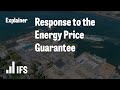 Response to the Energy Price Guarantee